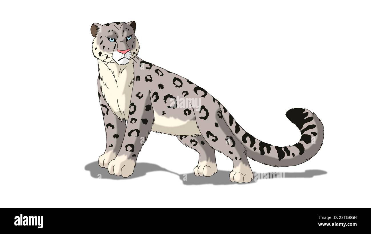 Snow Leopard Isolated on White Background Stock Photo - Alamy