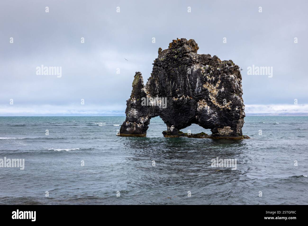 Hvitserkur (Troll of Northwest Iceland), basalt rock stack protruding ...