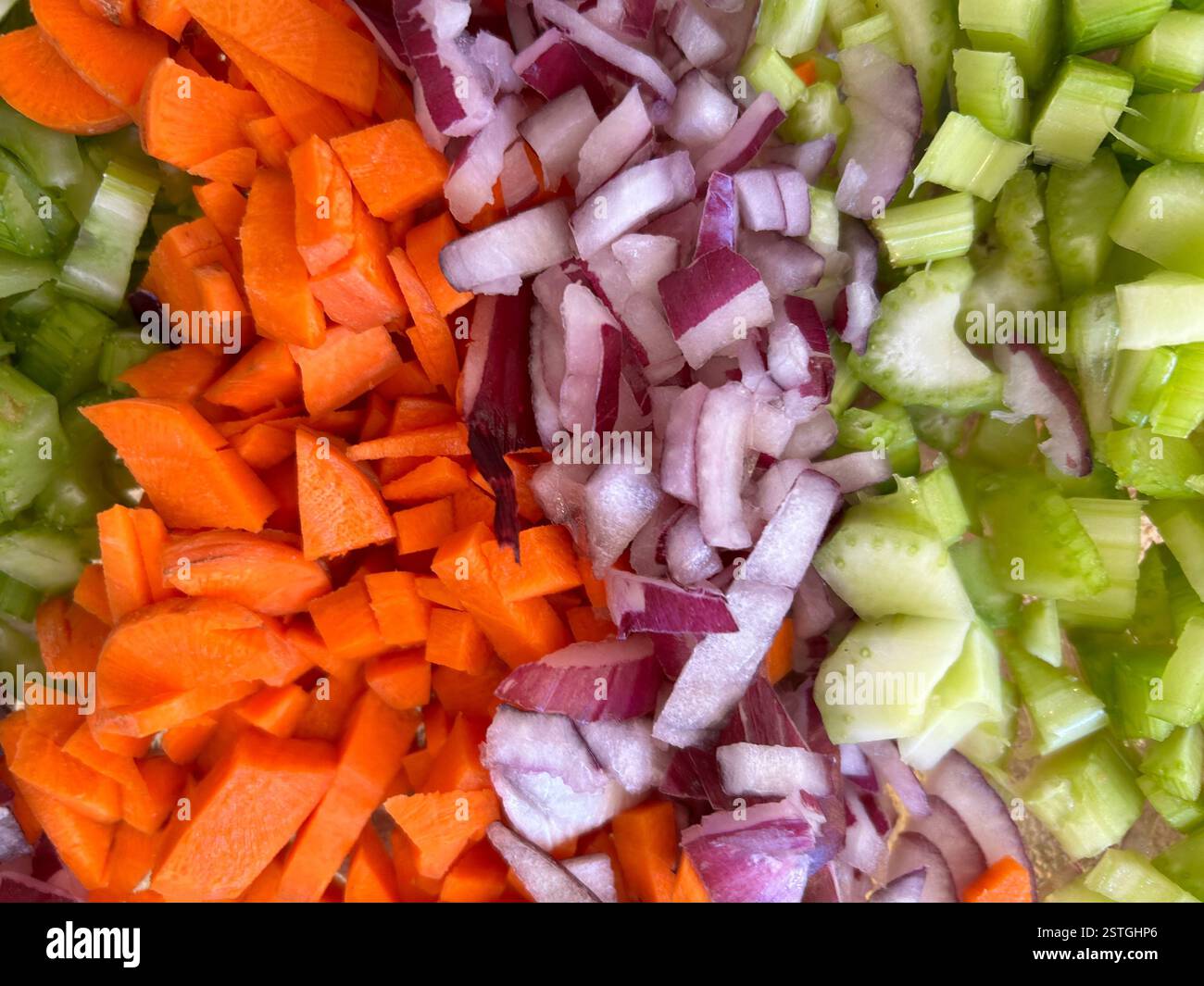 colorful vegetable harvest - Smartphone Captured Stock Image