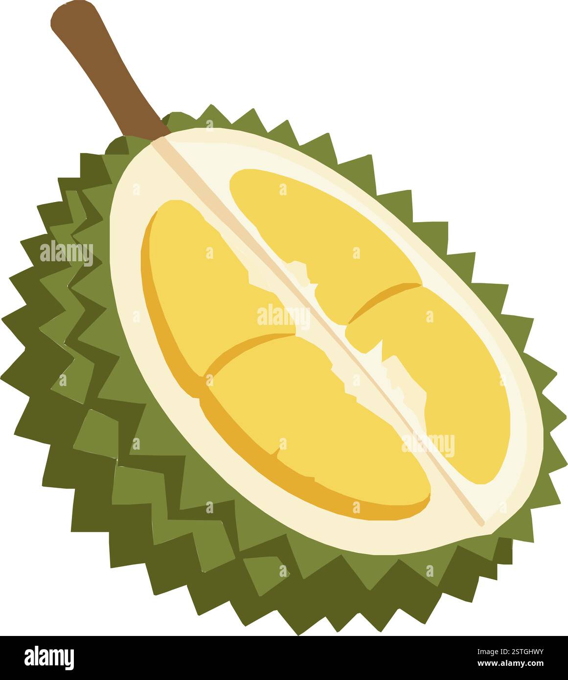 Durian Fruit Cut in Half – Exotic Tropical Superfood, Spiky Green Shell ...