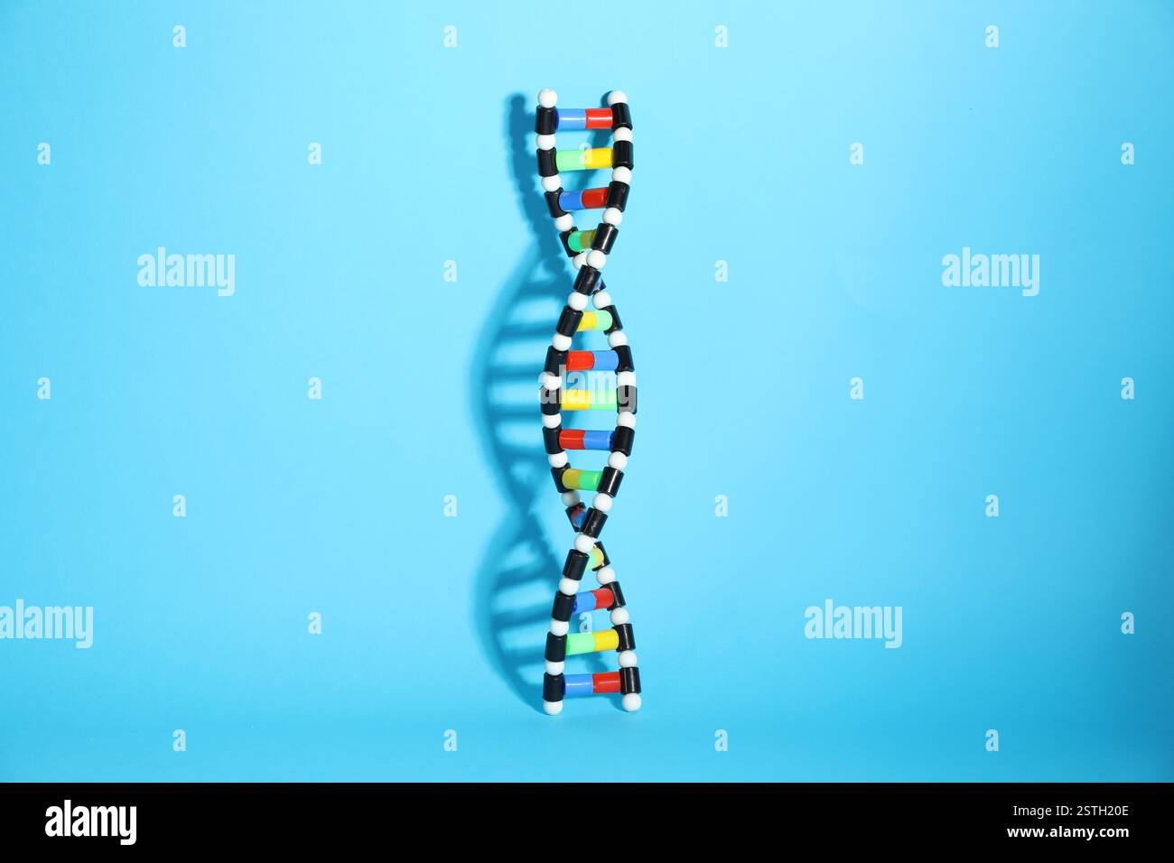DNA structure model on light blue background Stock Photo - Alamy
