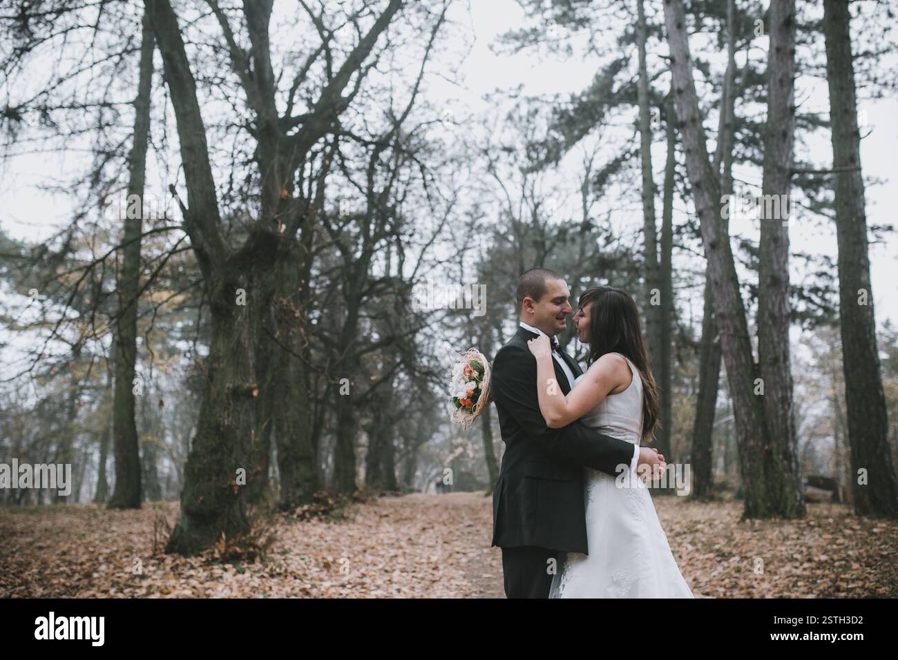 Happy bride and groom posing in the autumn forest Stock Photo - Alamy