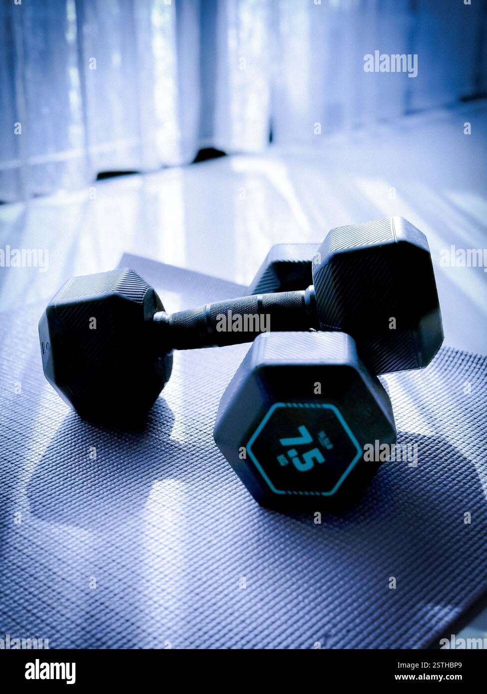Dumbbells and Yoga Mat in Natural Light Hexagonal 7.5 kg dumbbells resting on a textured yoga mat, illuminated by natural light filtering through a cu - Smartphone Captured Stock Image