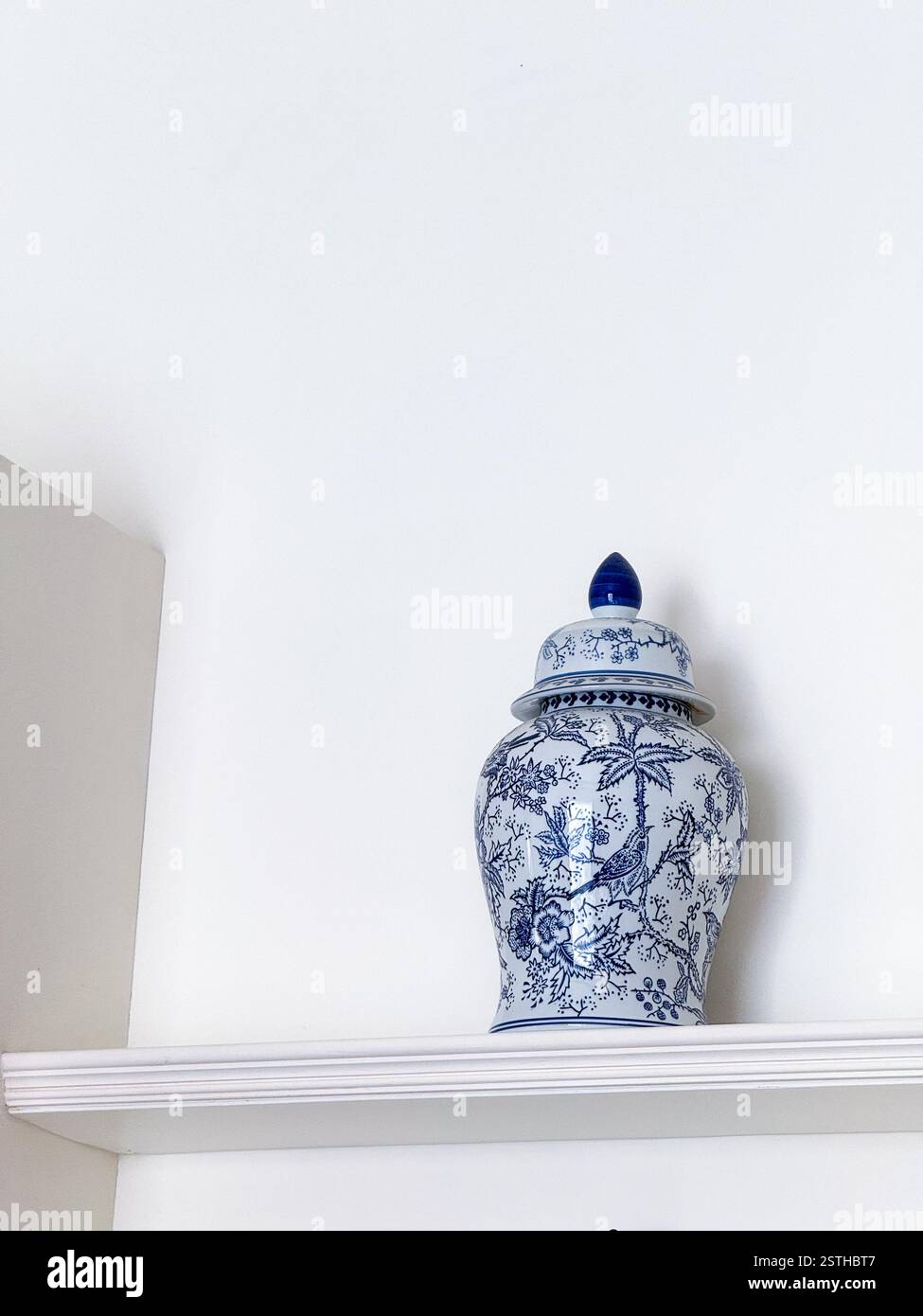 Elegant Blue and White Porcelain Jars on Shelves2 Two intricately designed blue and white porcelain jars placed on white shelves - Smartphone Captured Stock Image