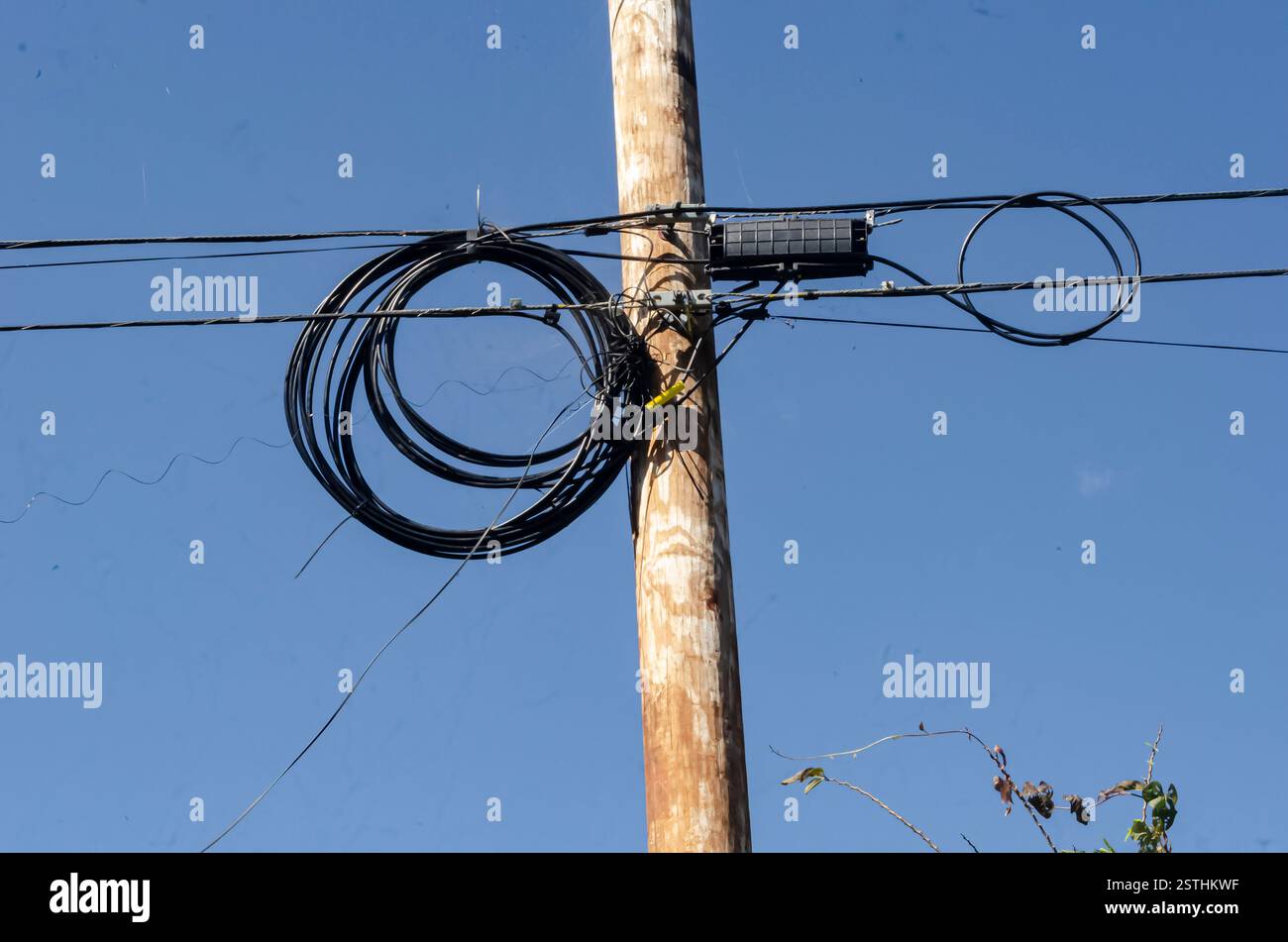 An Installed Fiber Distribution Panel and Cable Stock Photo