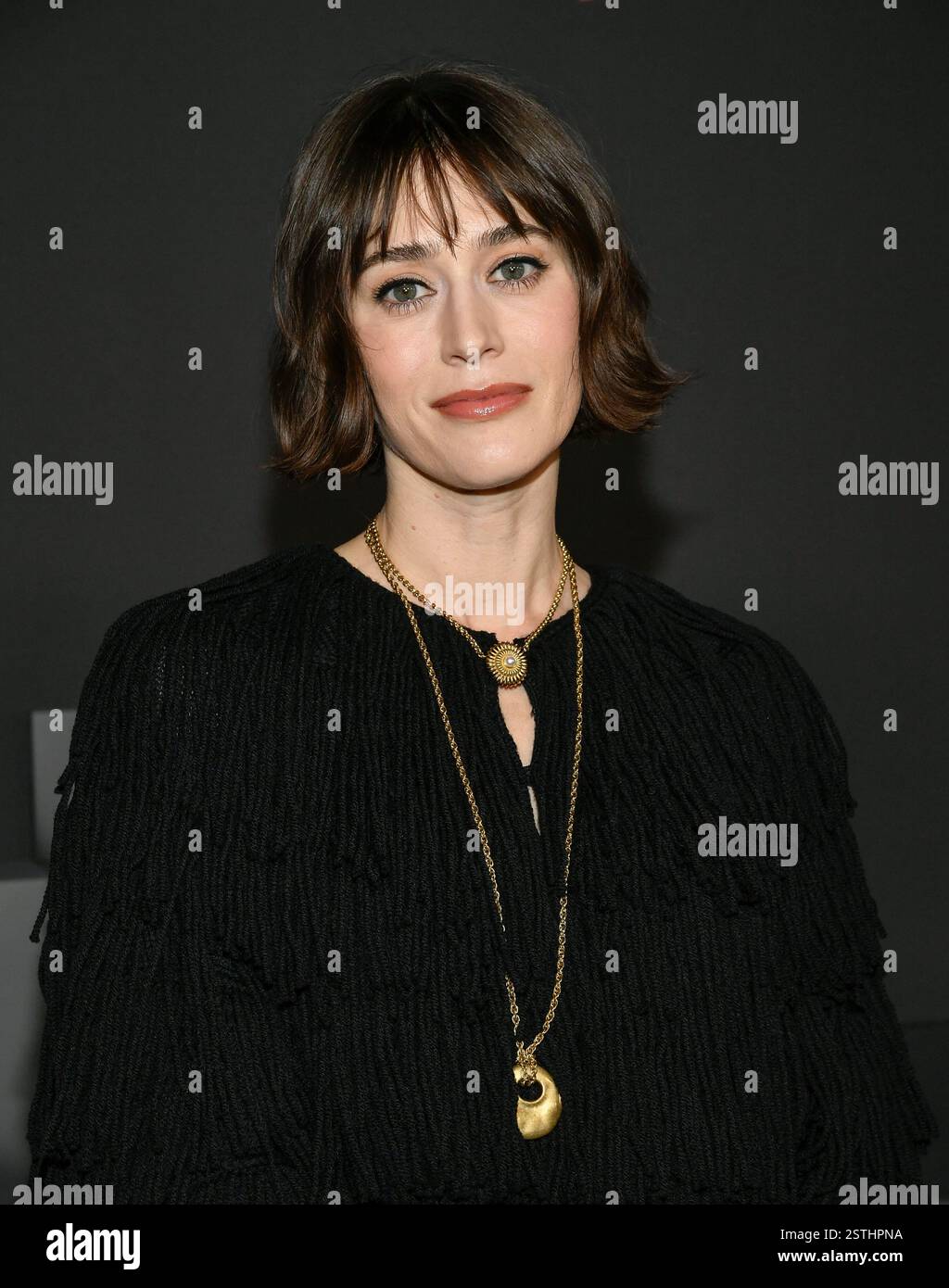 Lizzy Caplan Attends The World Premiere Of Netflix S Zero Day At The Lizzy Caplan Attends The World Premiere Of Netflixs Zero Day At The Plaza Hotel On Tuesday Feb 18 2025 In New York Photo By Evan 2STHPNA