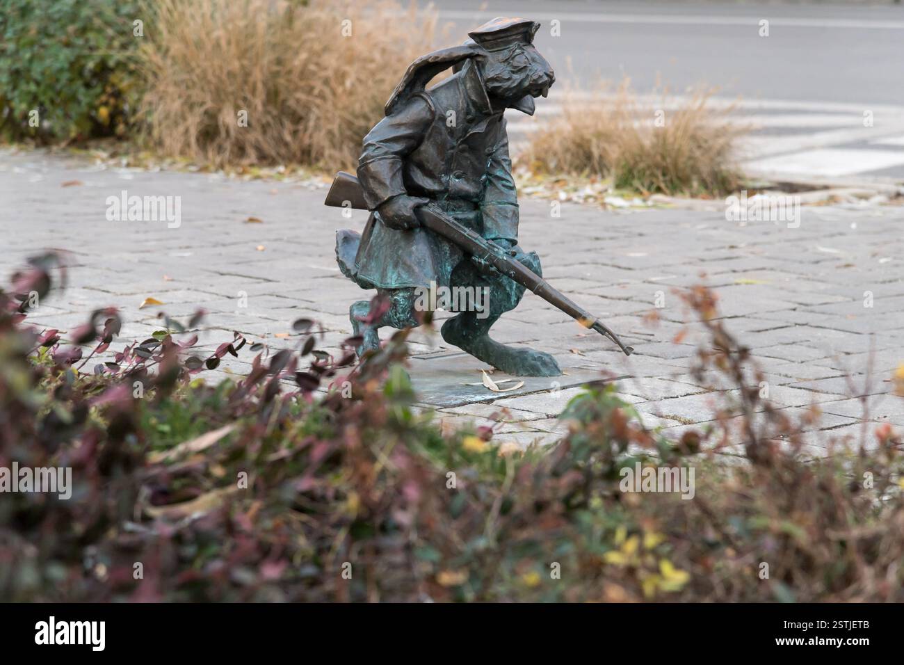 Rabbit the Greater Poland uprising of 1918–1919 fighter, one of 15 ...