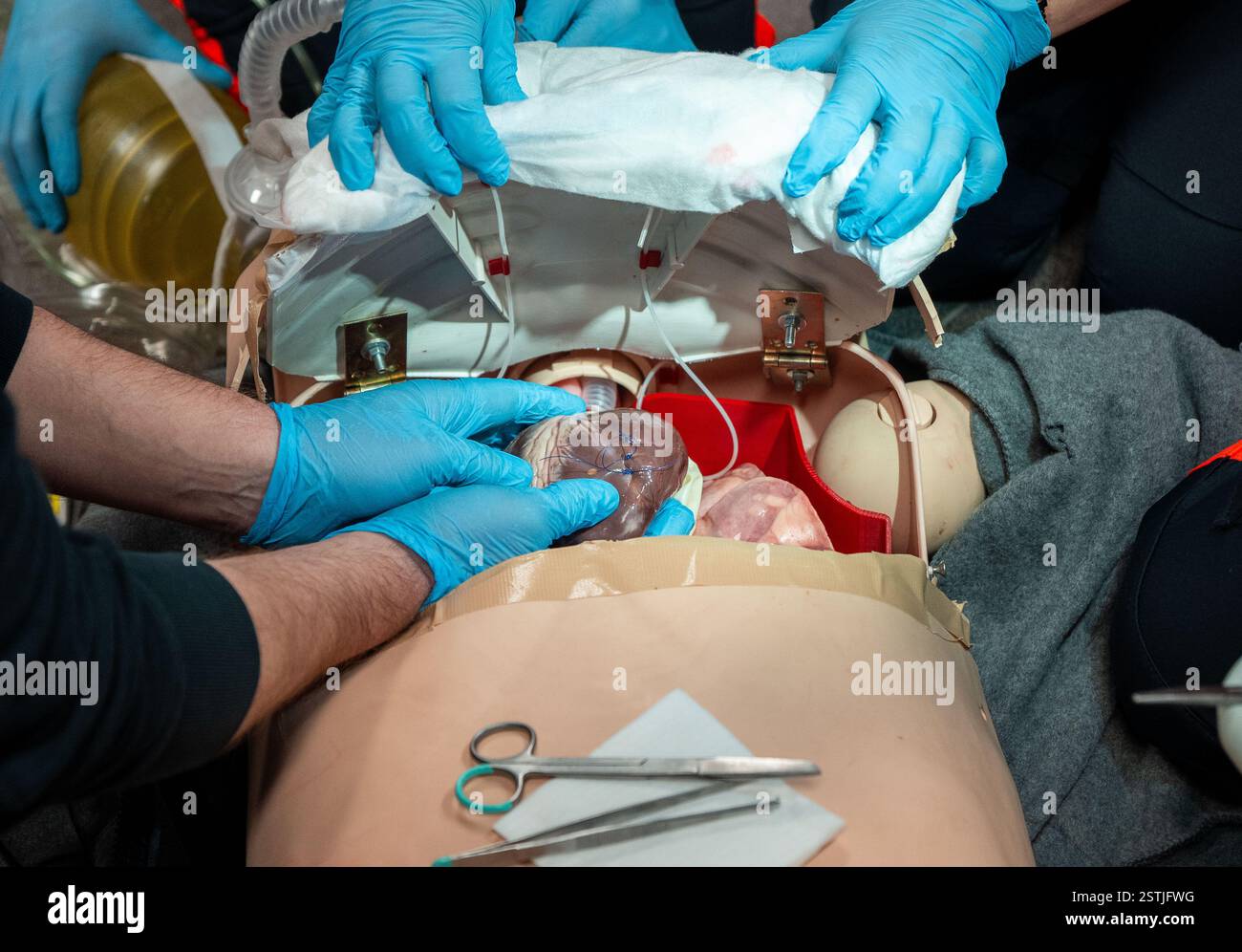 As part of an exercise on Monday, February 17, 2025, in Vienna, Austria ...
