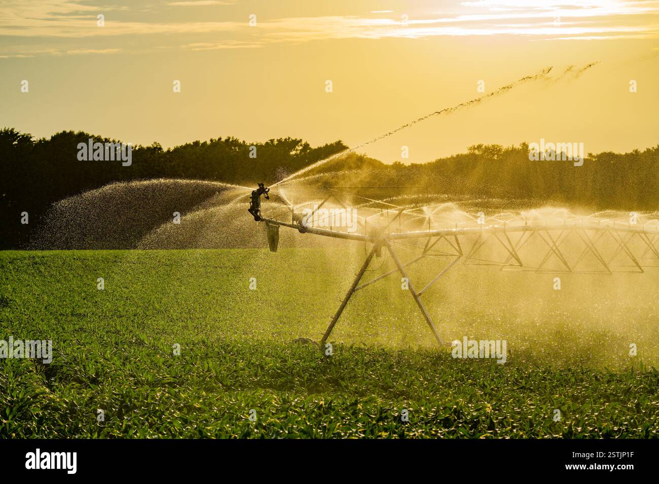 Irrigation system in function hi-res stock photography and images - Alamy