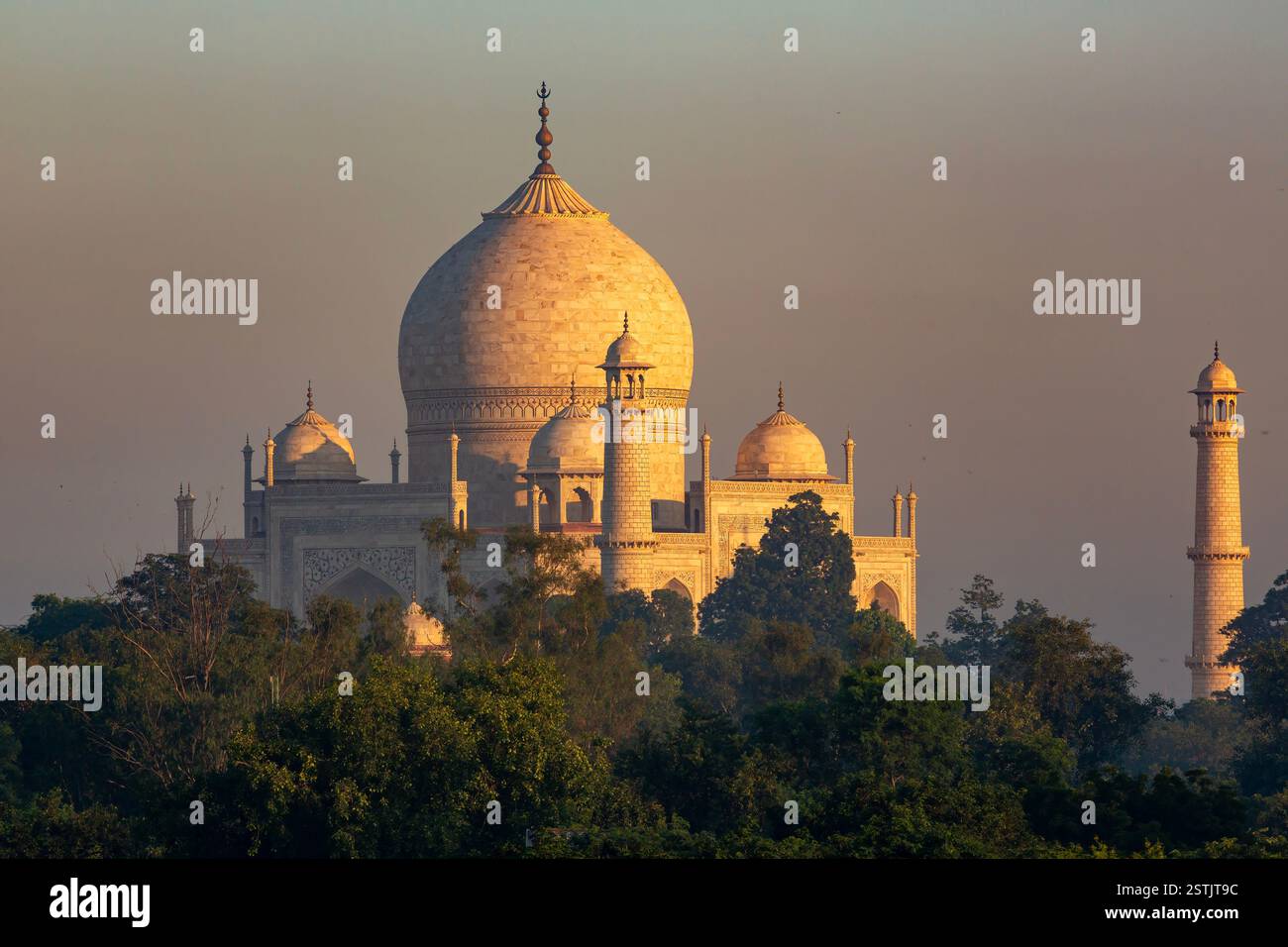 Early Morning Taj Mahal, Agra, India Stock Photo