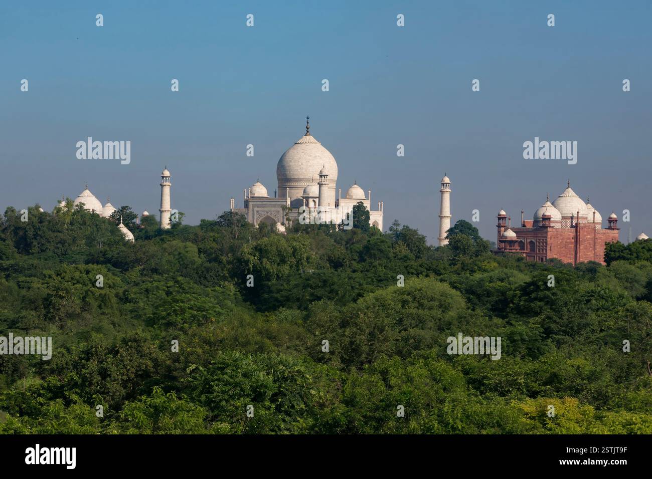 Green Taj Mahal, Agra, India Stock Photo