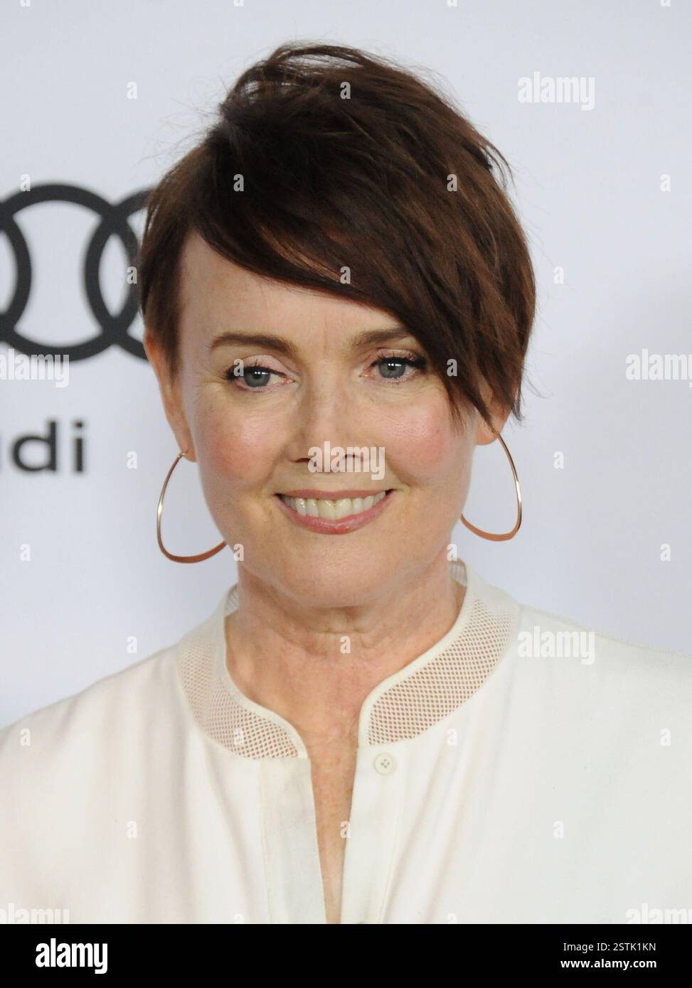 Laura Innes Laura Innes arriving at the Television Academy's 24th Hall of Fame ...