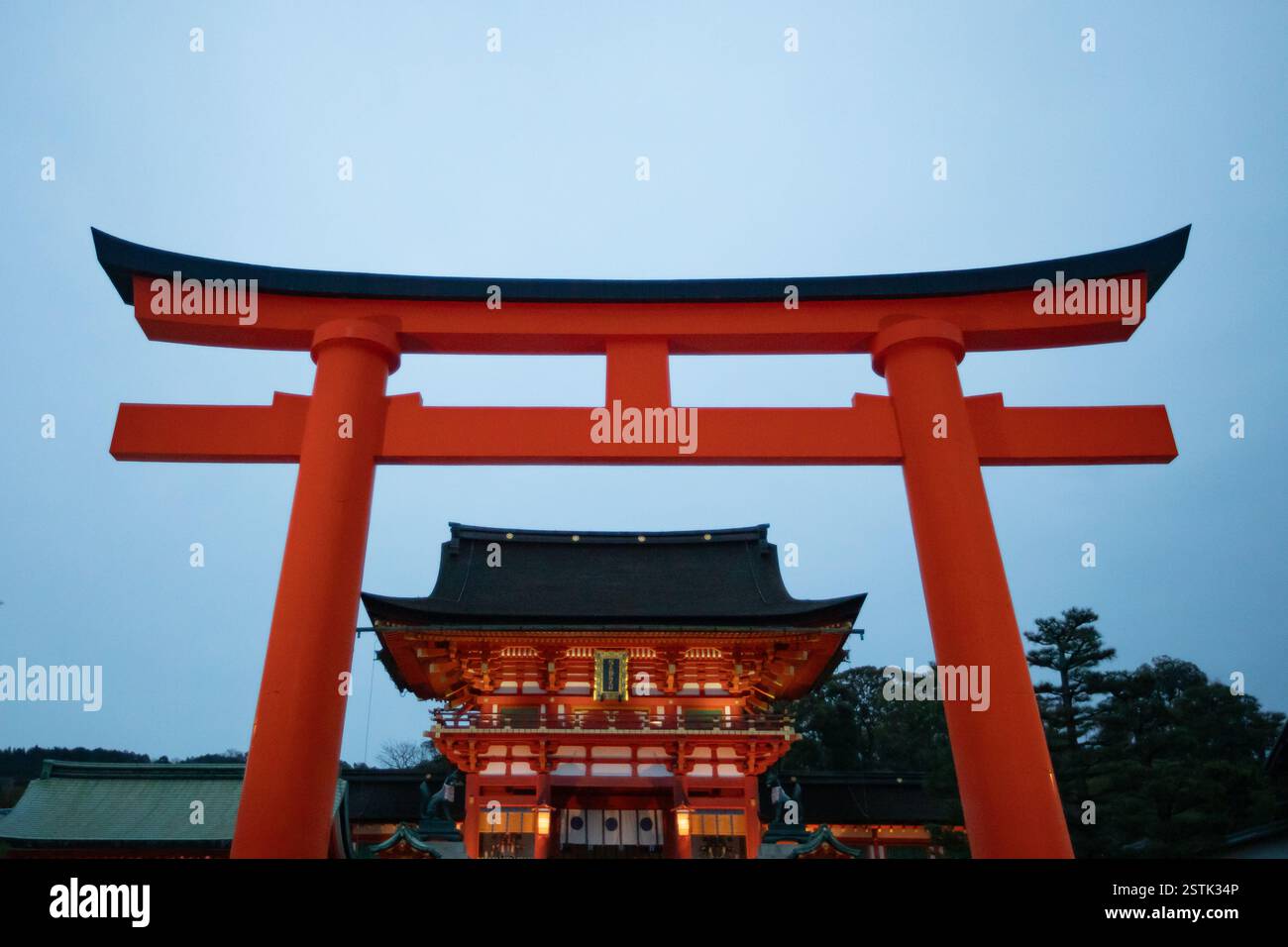 Kyoto, Japan, 3-3-2024: Fushimi Inari Shrine at night. Empty. Red torii ...