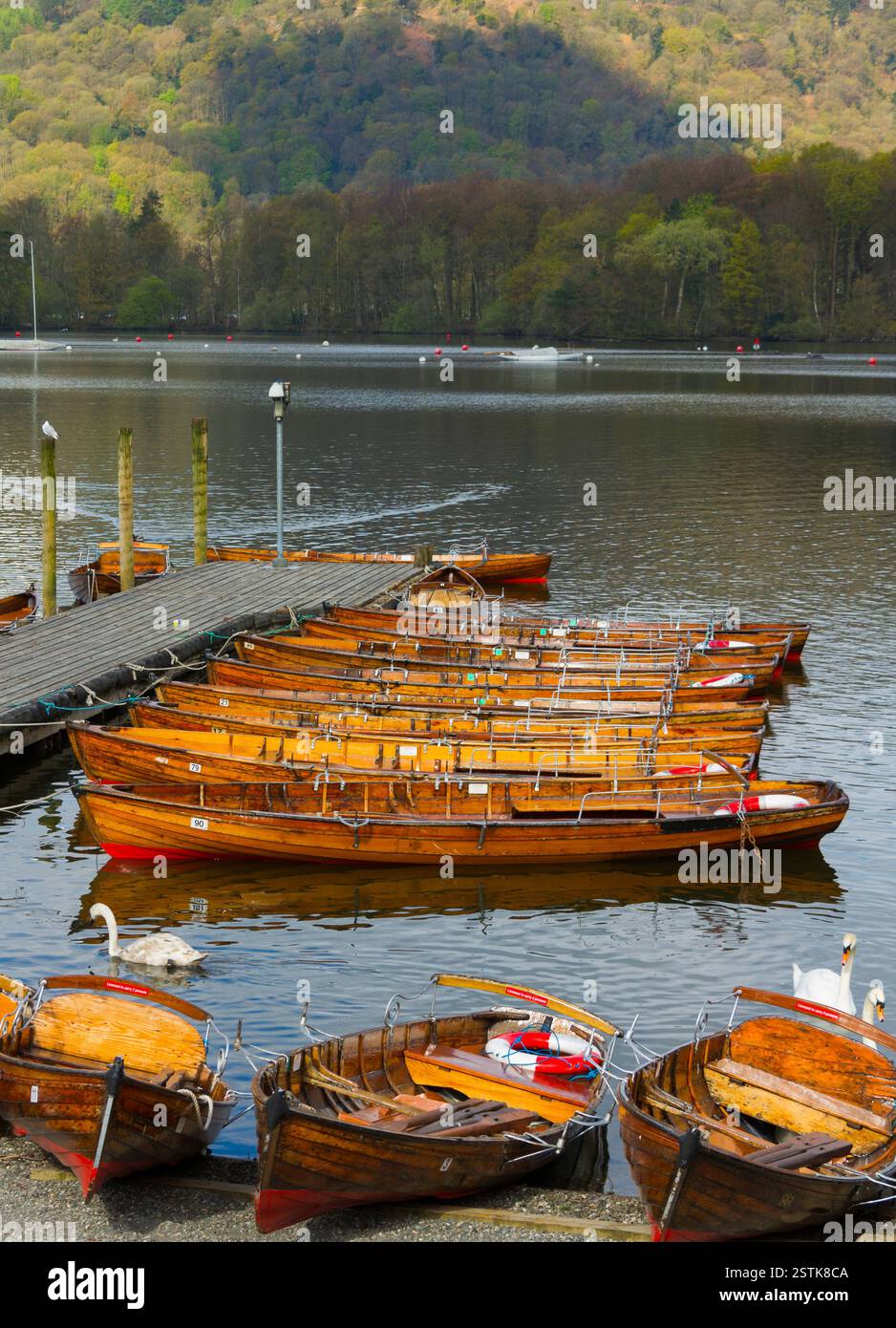 boats in a line on the dock Stock Photo - Alamy
