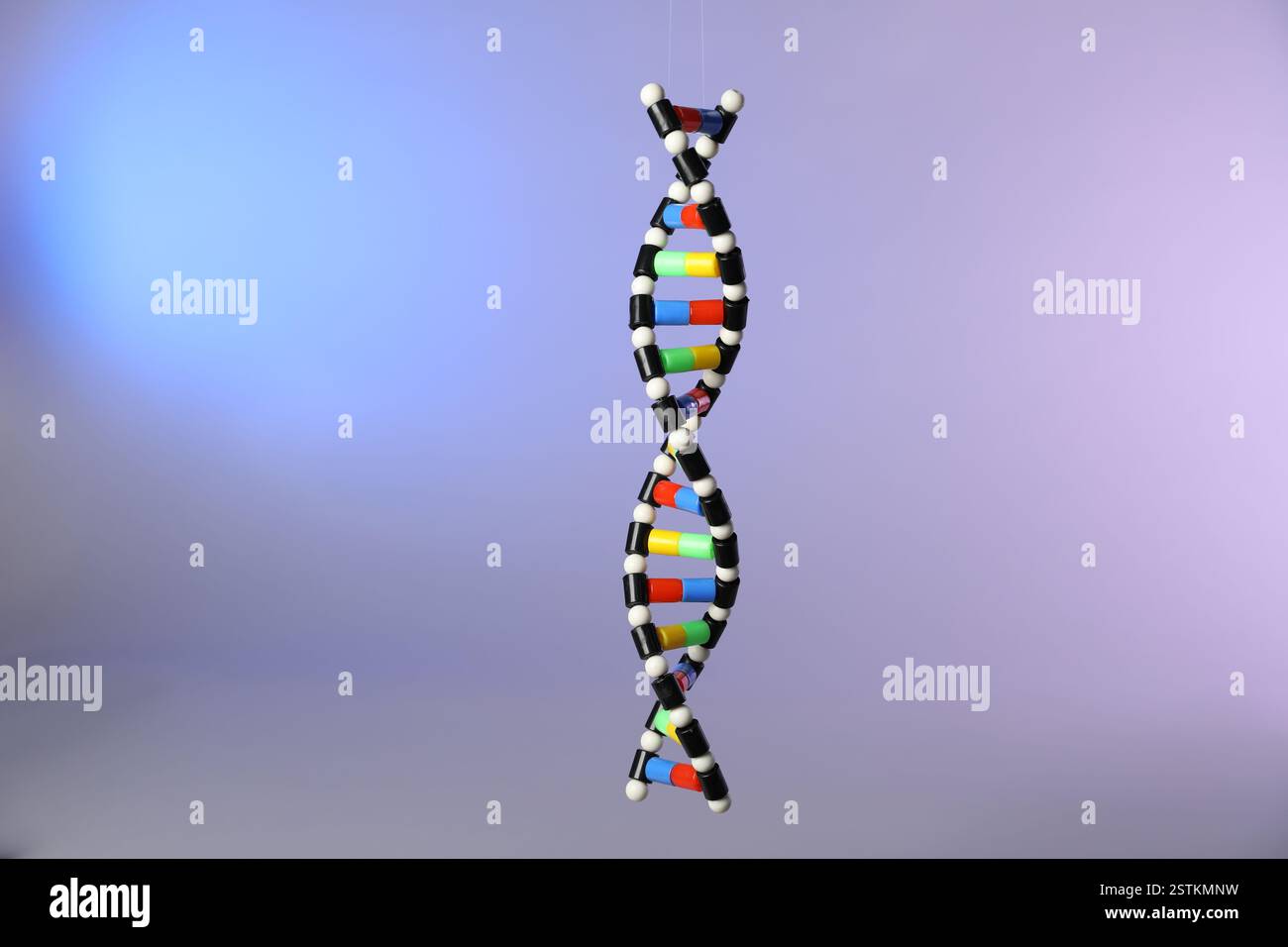 One DNA structure model on color background Stock Photo