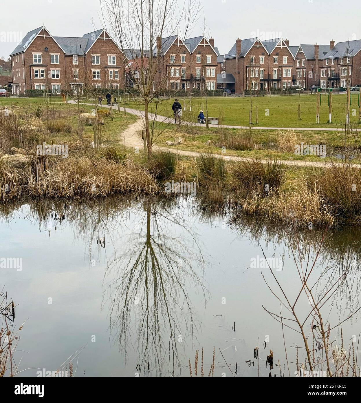 King’s Weald new homes development with landscaped environment on sight of old brickworks Burgess Hill, West Sussex - Smartphone Captured Stock Image