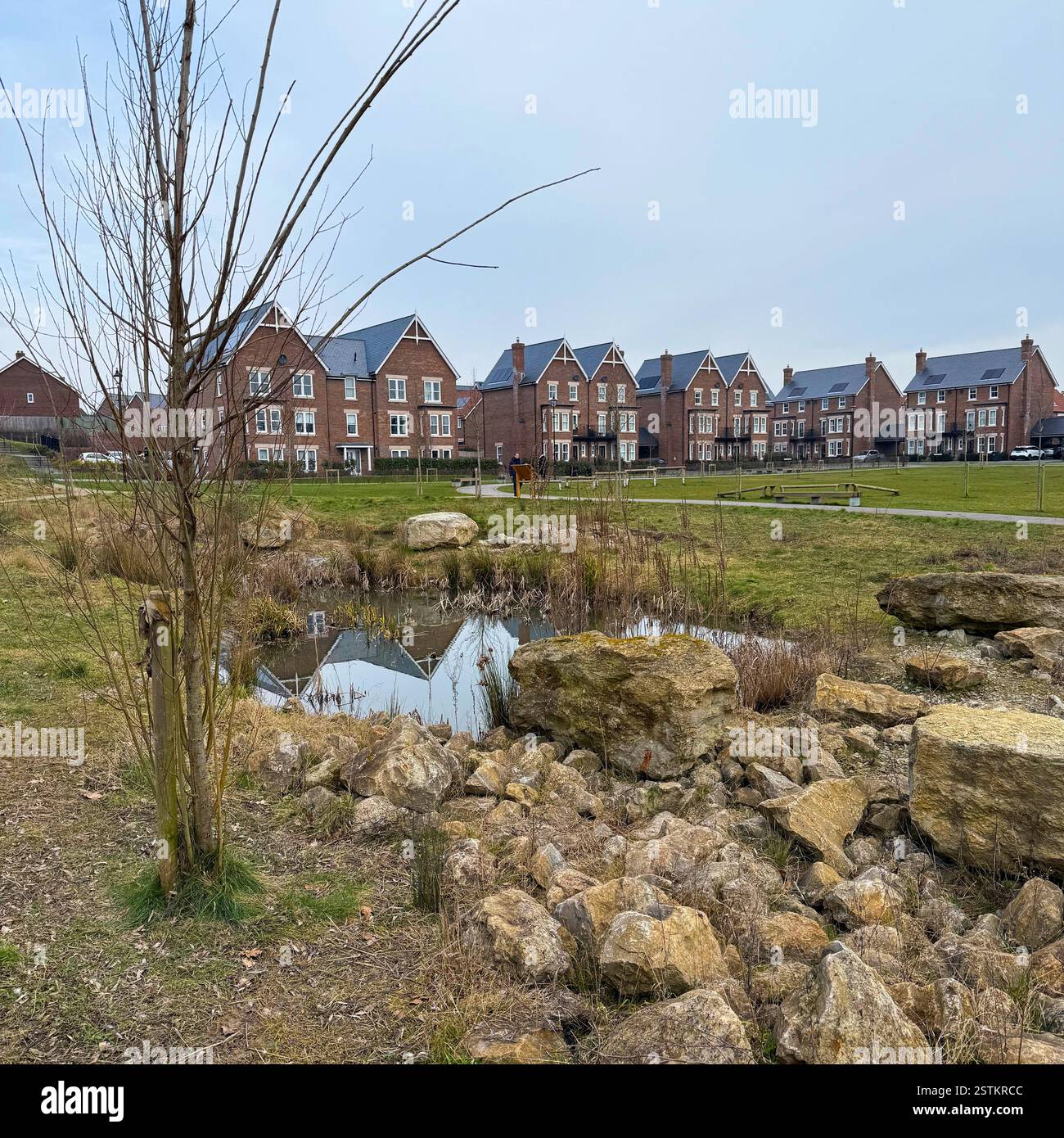 King’s Weald new homes development with landscaped environment on sight of old brickworks Burgess Hill, West Sussex - Smartphone Captured Stock Image