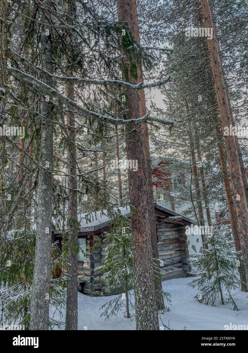A log cabin in Levi in Finnish Lapland - Smartphone Captured Stock Image