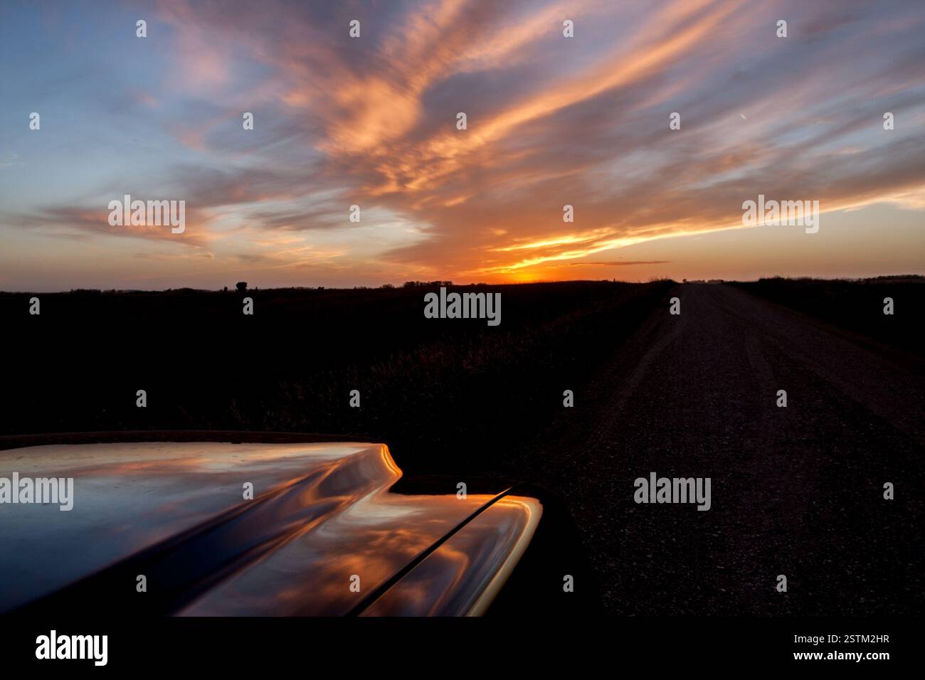 A vivid sunset with orange and pink clouds is reflected on the hood of ...