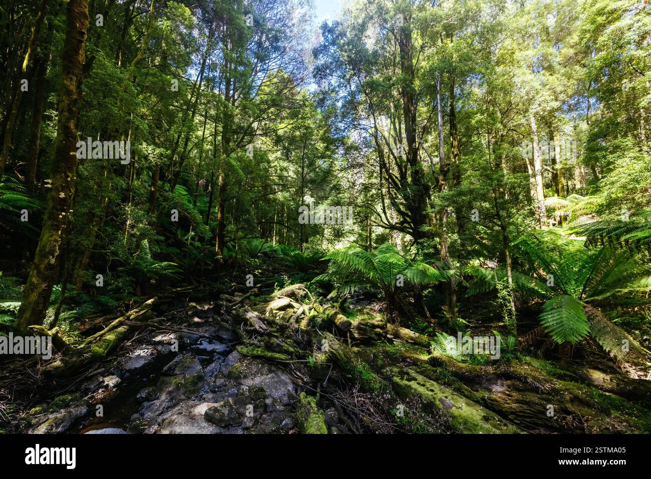 franklin gordon wild rivers national park tasmania