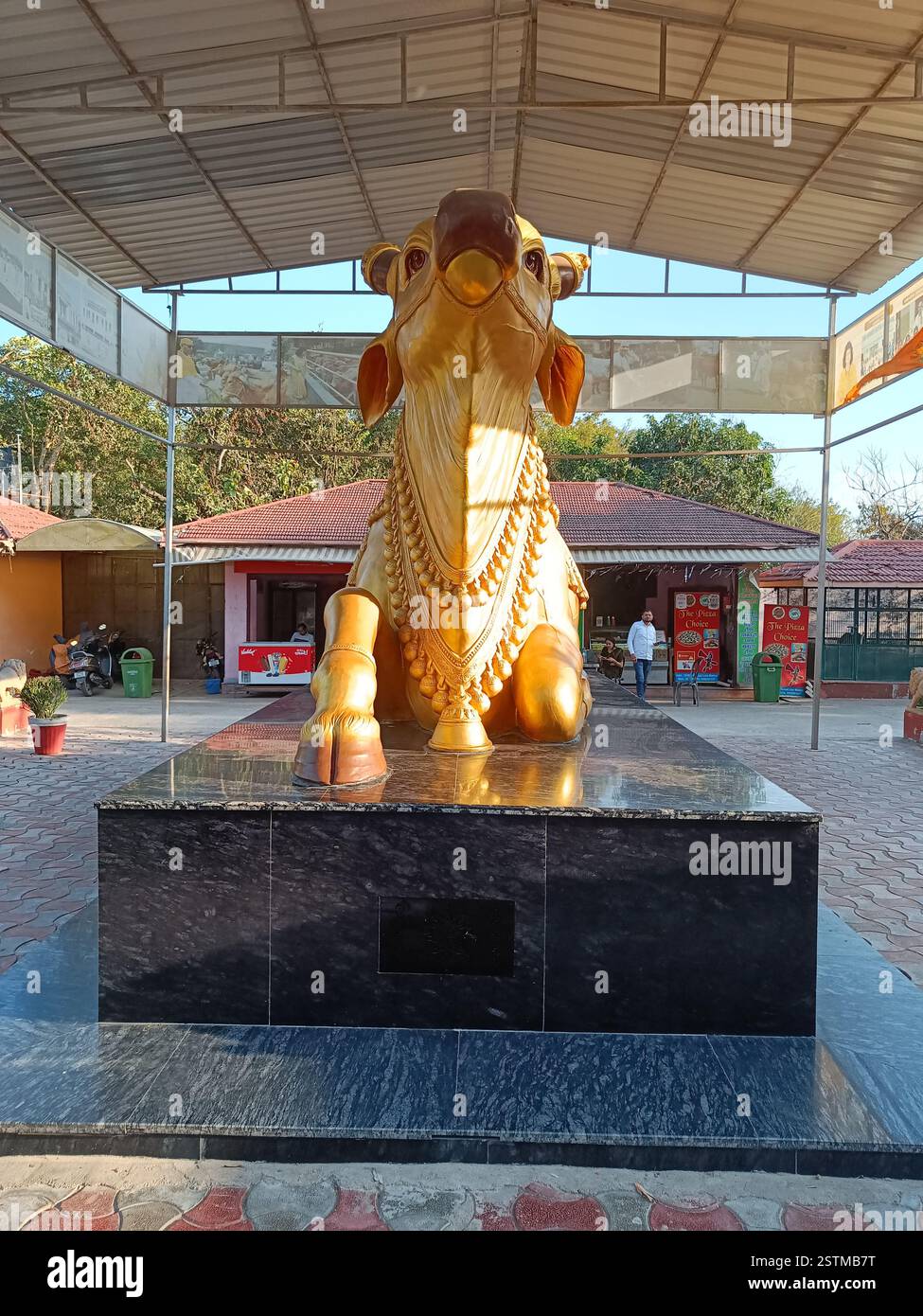 Nandi serves as the vahana of Lord Shiva, often seen riding alongside him or standing in front of temples dedicated to Shiva. - Smartphone Captured Stock Image