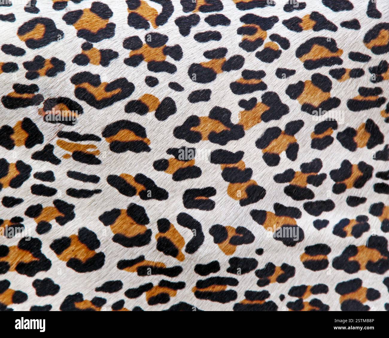Leopard Pattern Stock Photo