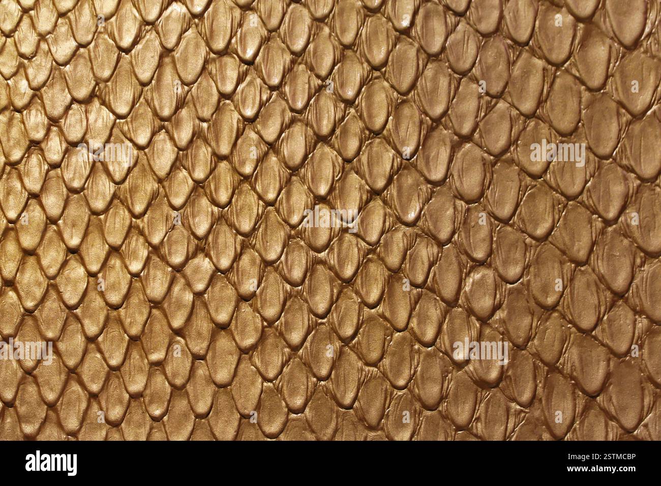 Golden Snake Leather Stock Photo