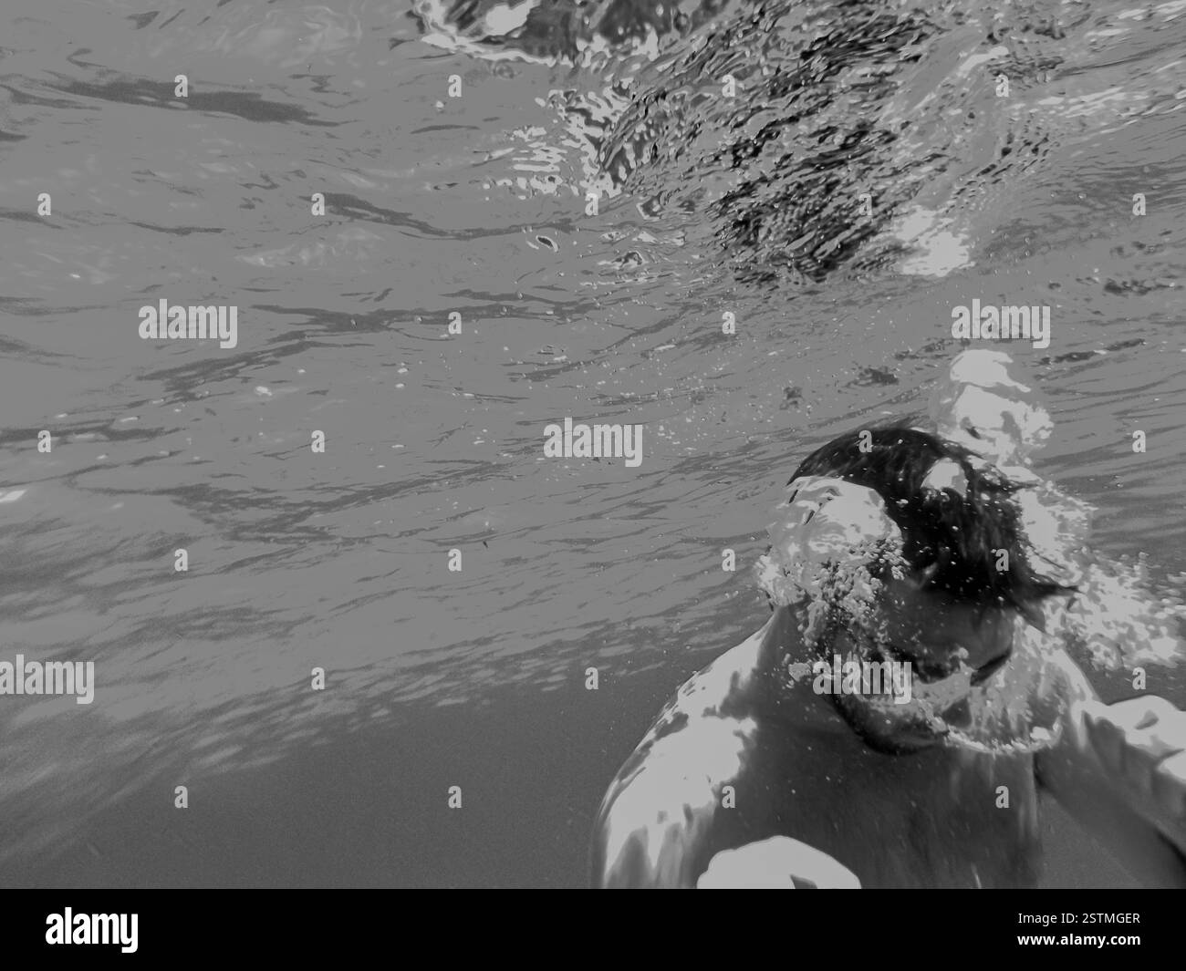 Sea water ocean life underwater Black and White Stock Photos & Images ...