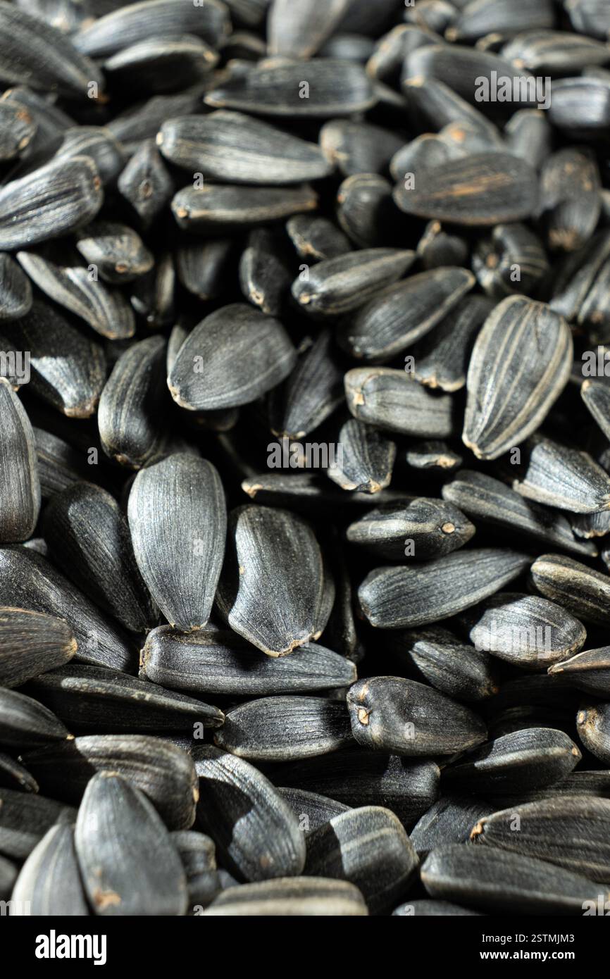 Macro Black Unpeeled Sunflower Seeds Stock Photo - Alamy