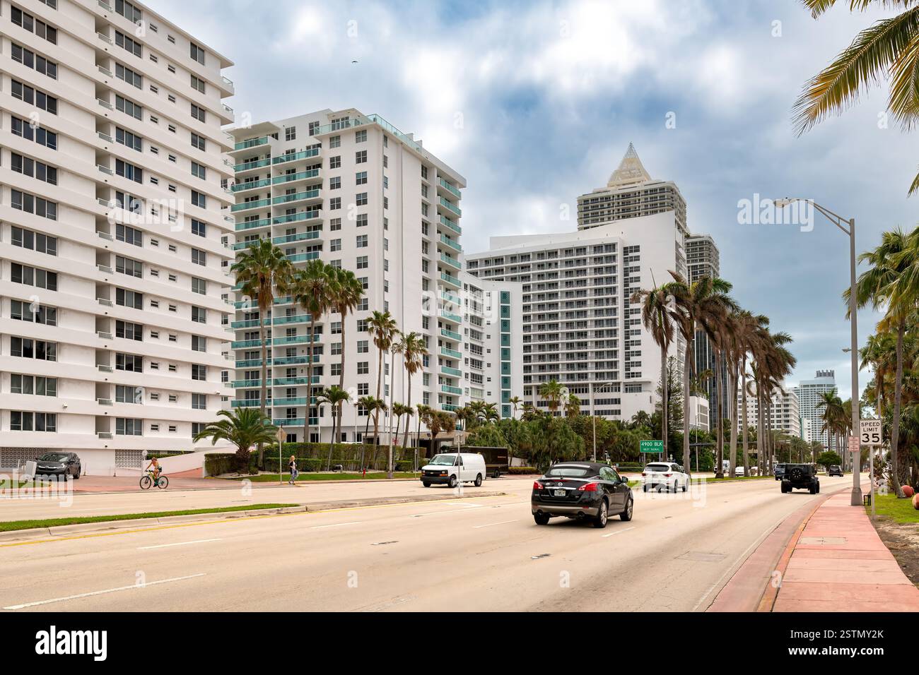 Palm trees modern buildings hi-res stock photography and images - Alamy