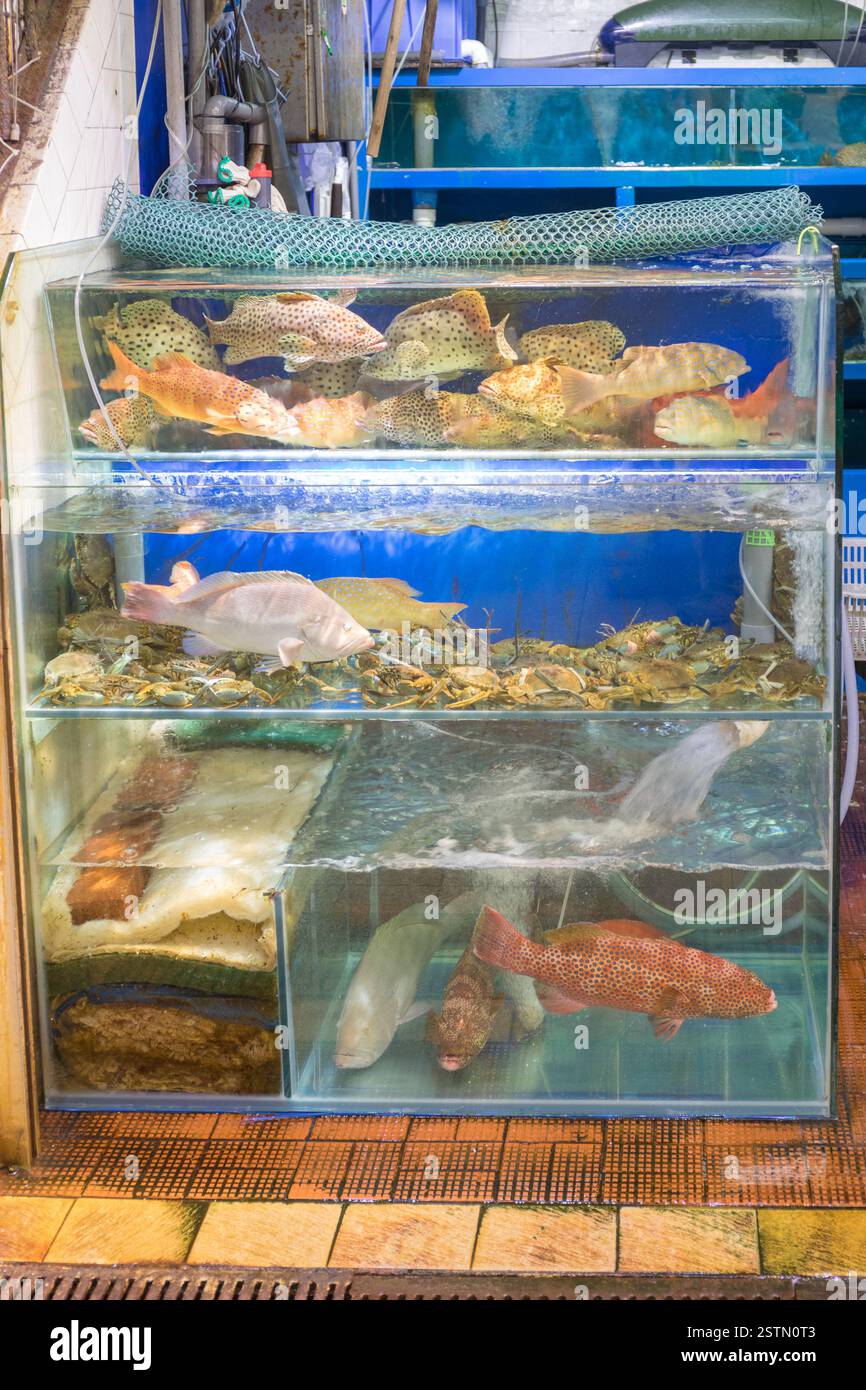 Alive Fish Stock Photo