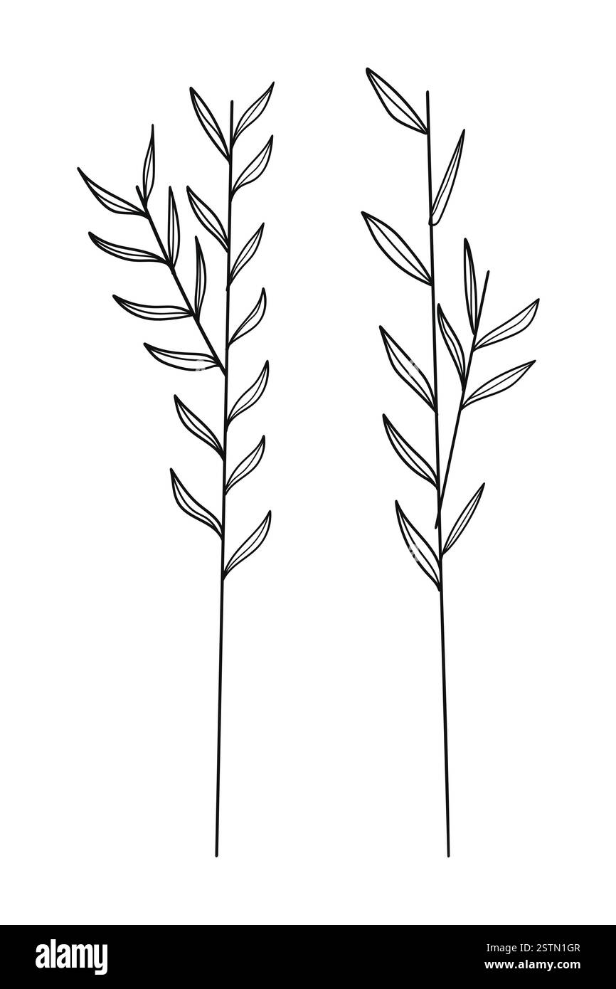 Vector outline spice rosemary sprigs in doodle style. Clip art for kitchen, design of packaging and wrapping paper, menus, restaurants, products Stock Vector