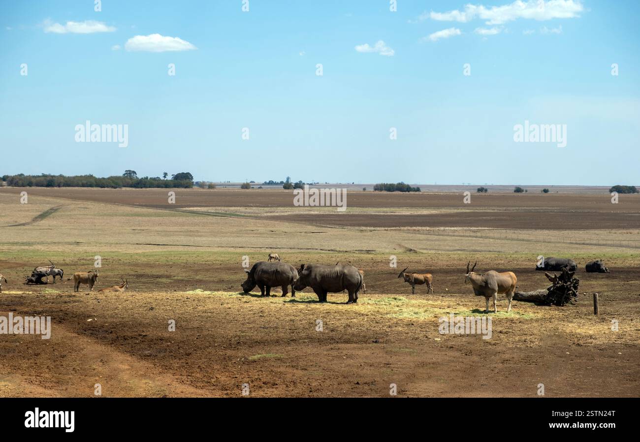 African savannah landscape hi-res stock photography and images - Alamy