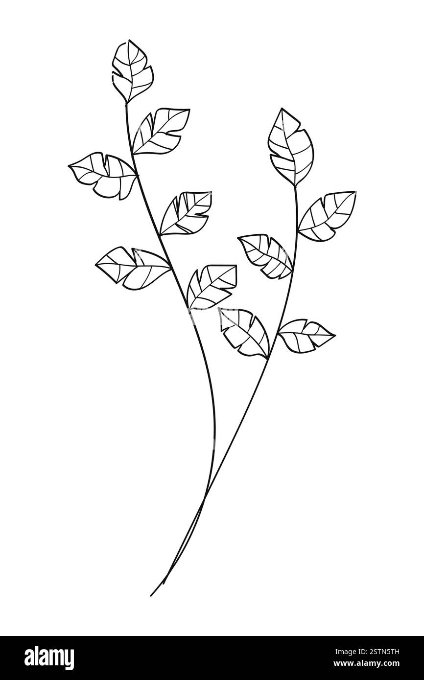 Tree branch botanical line art nature drawing.Vector illustration Stock ...