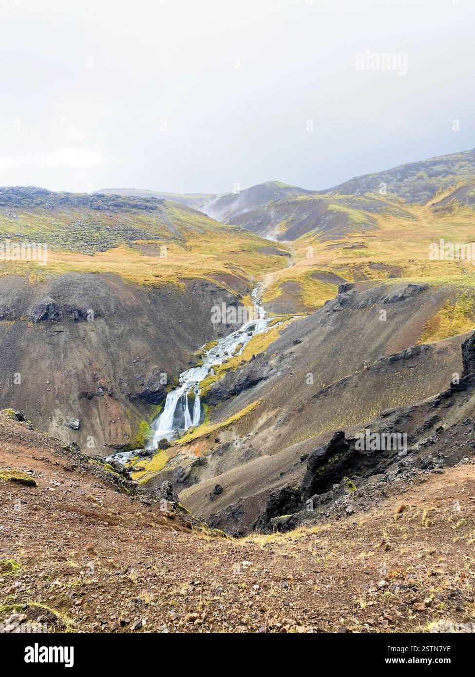 The image depicts a stunning volcanic landscape with a waterfall cascading down rocky slopes, surrounded by vibrant moss and an overcast sky Stock Photo