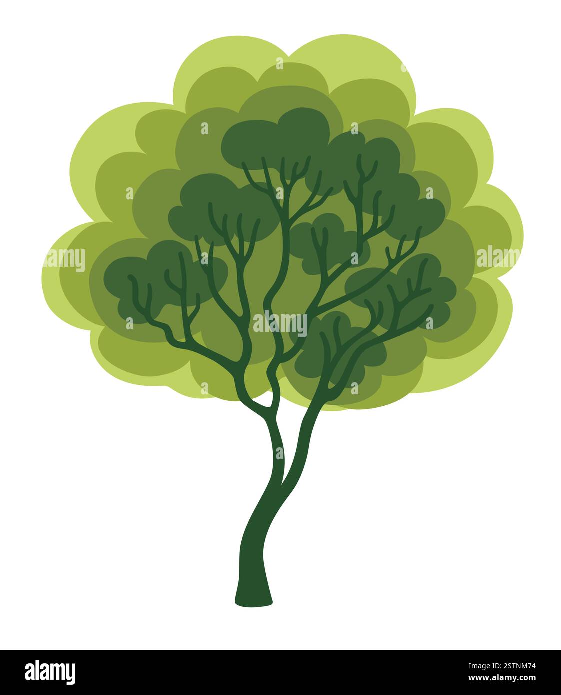 Forest foliage tree. Botanical natural flat vector illustration isolated on white background Stock Vector