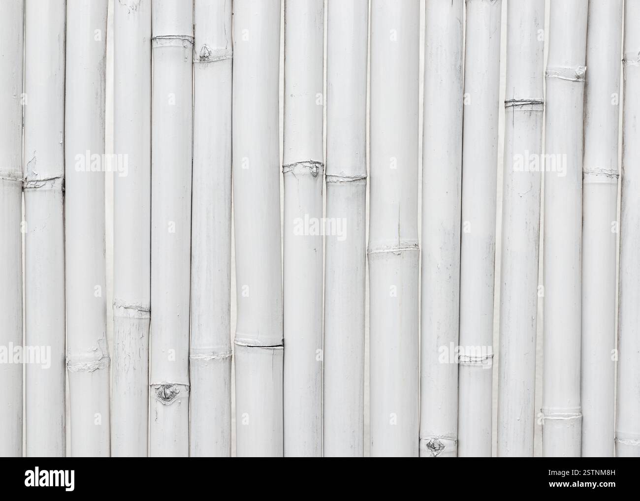 White bamboo wall texture Stock Photo
