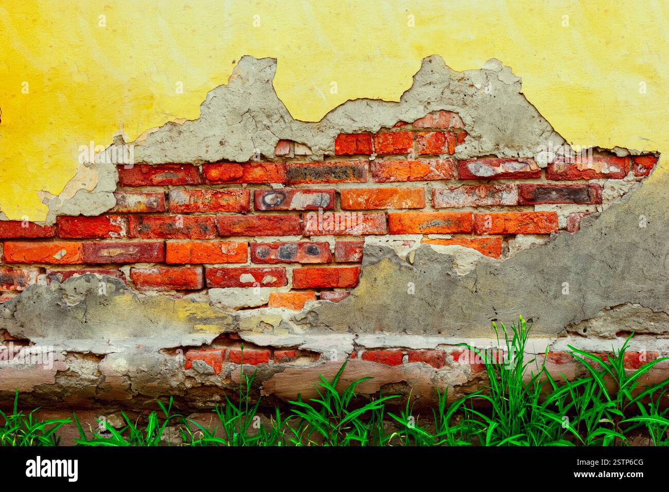 Defected wall with some grass on bottom Stock Photo