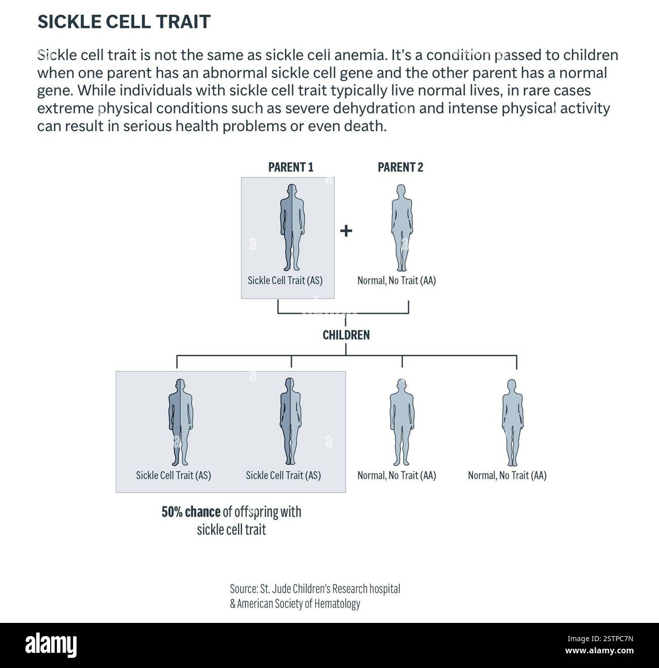 The graphic is about sickle cell trait and how it can be inherited from ...