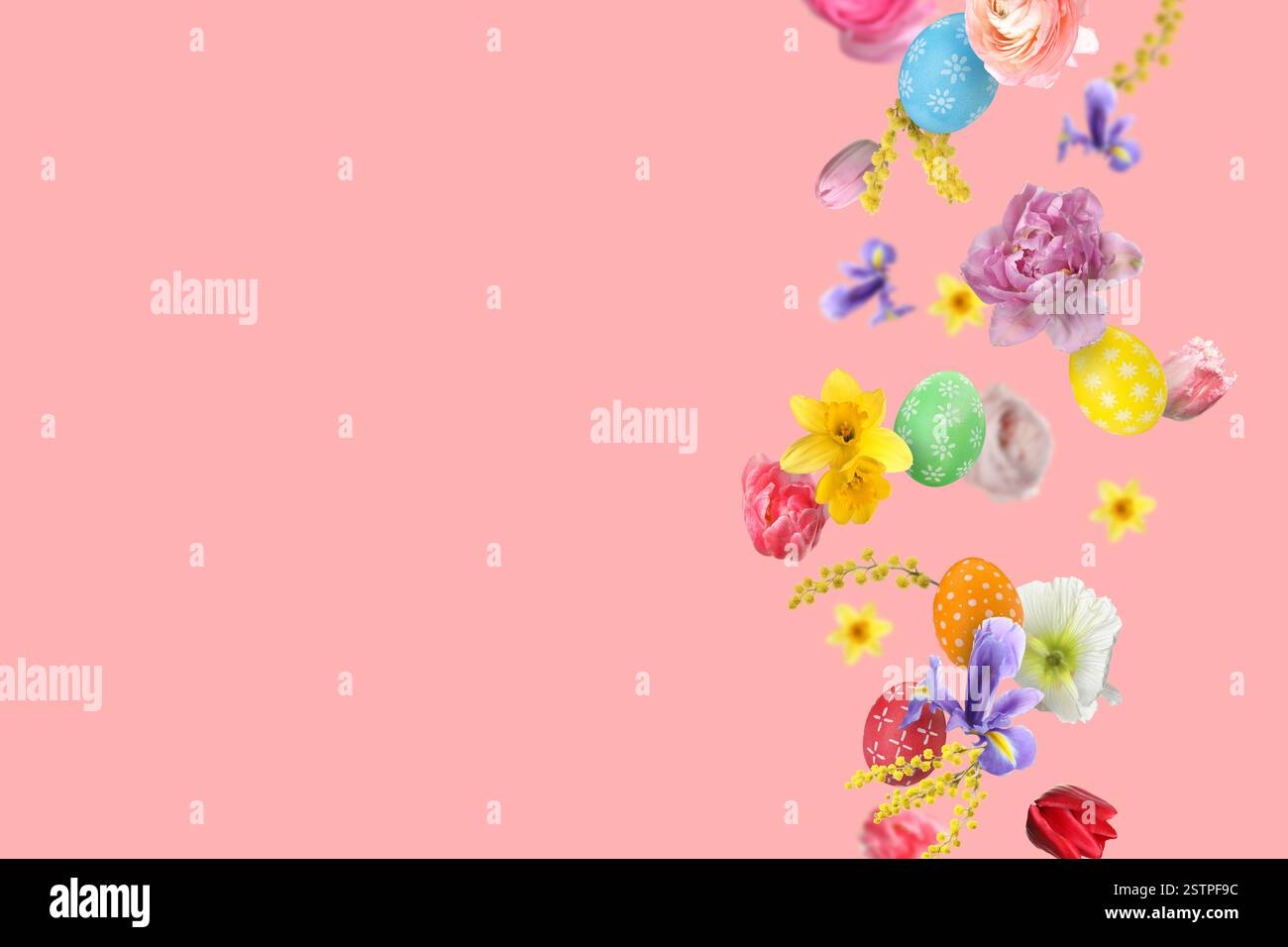 Easter eggs and beautiful spring flowers flying on pink background ...