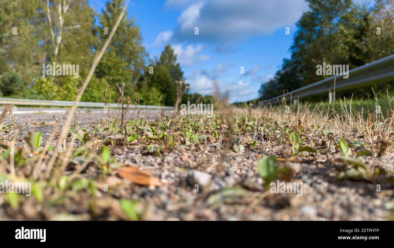 Grass growing through cracks hi-res stock photography and images - Alamy