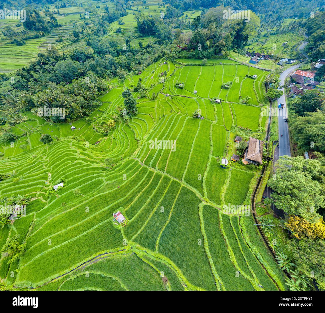 Aerial view of rice terraces in Bali, Indonesia Stock Photo - Alamy
