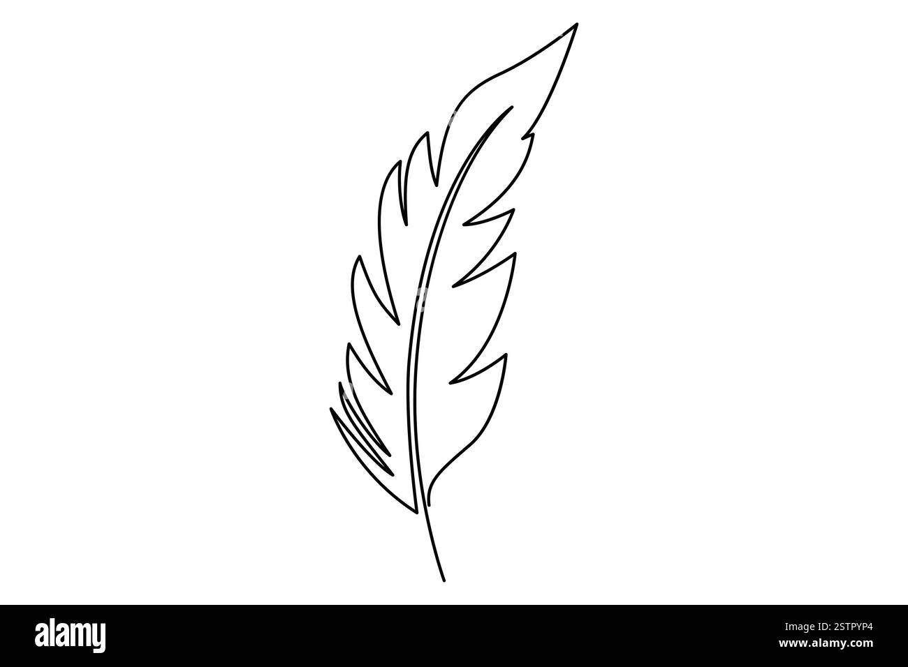 Continuous one line drawing of Bird feather Isolated on white ...
