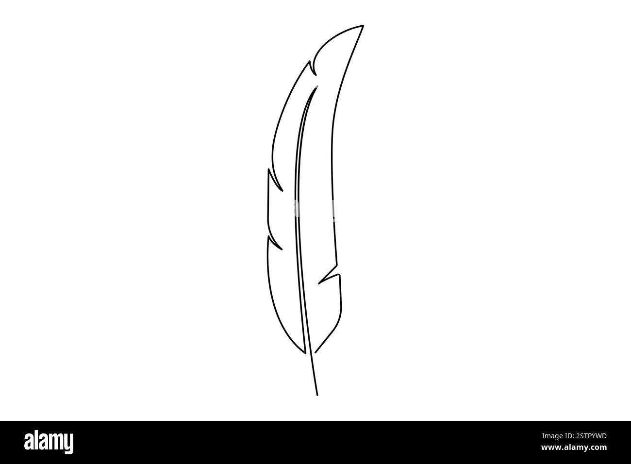 Continuous one line drawing of Bird feather Isolated on white ...