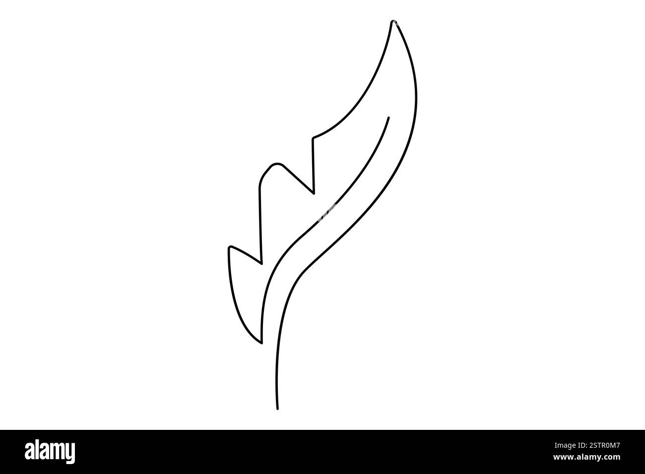 Continuous one line drawing of Bird feather Isolated on white ...