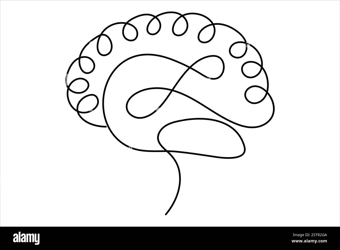 One Fourth Brain Drawing Human brain continuous one line drawing concept of Hand drawn ...