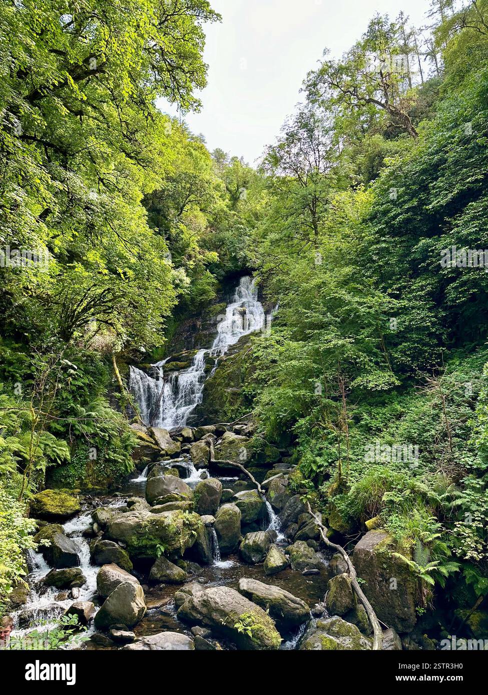 Waterfall in Ireland - Smartphone Captured Stock Image