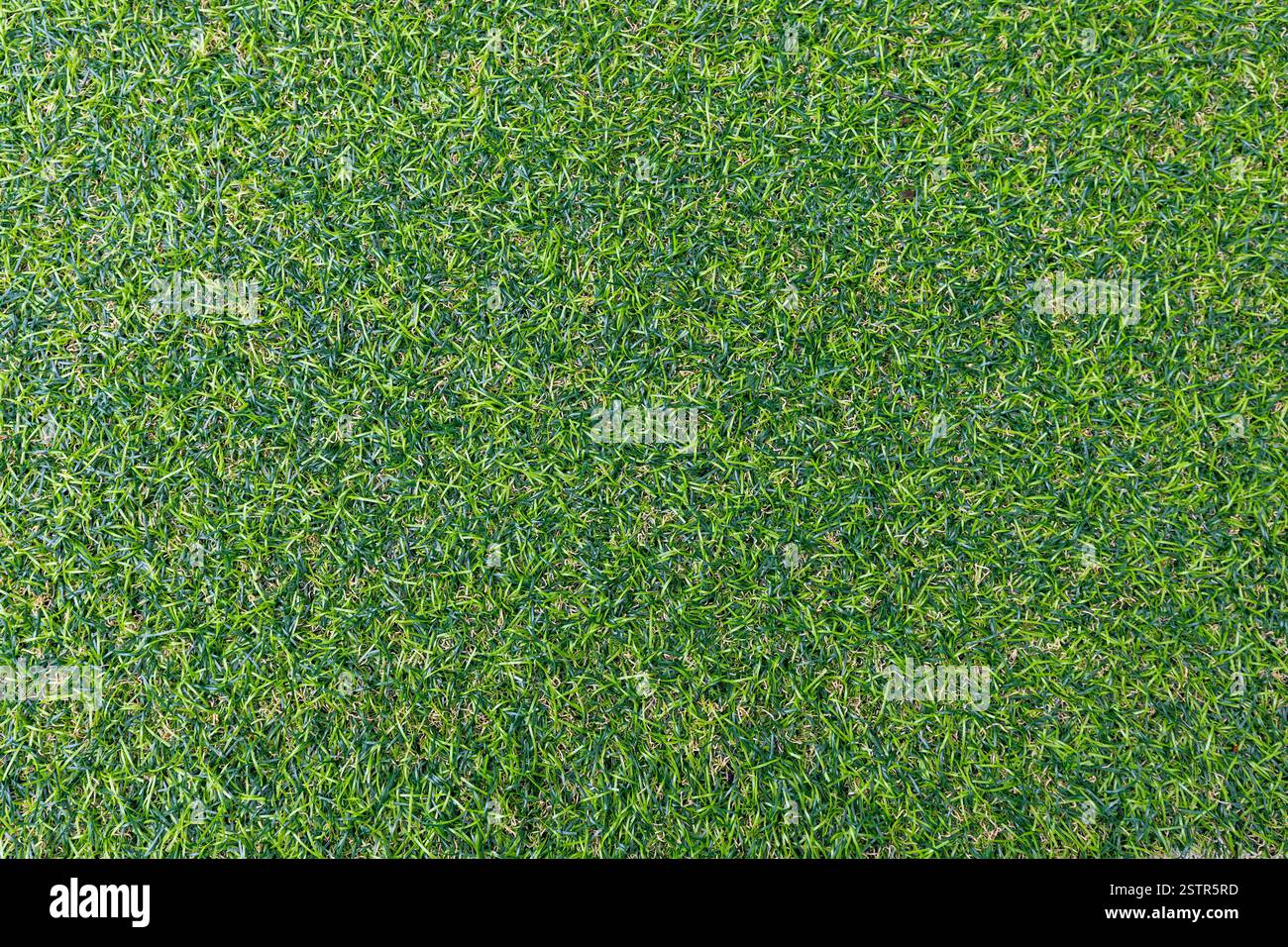 Artificial Green Grass Stock Photo