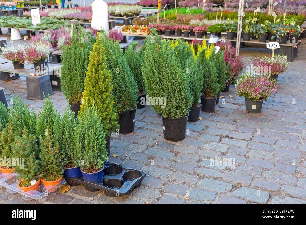 Garden Center Stock Photo