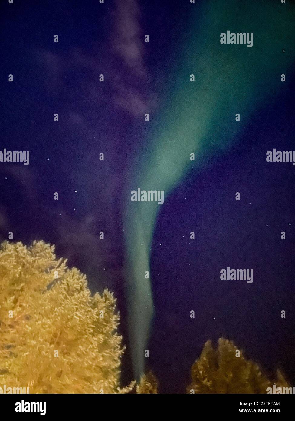 Northern Lights in Levi - Smartphone Captured Stock Image